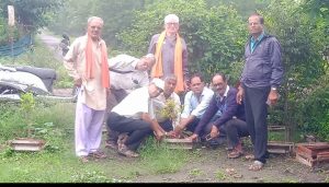 Screenshot 2025 07 09 16 07 58 080 Com.google.android.apps .photos 300x171