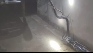 Screenshot 2025 07 13 10 33 35 734 Com.whatsapp 300x172