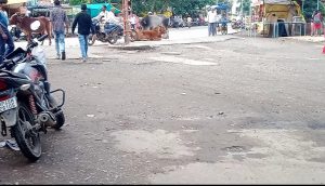 Screenshot 2025 07 31 10 03 04 289 Com.google.android.apps .photos 300x172