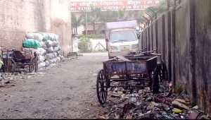 Screenshot 2025 08 08 10 20 11 372 Com.google.android.apps .photos 300x170