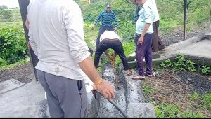 Screenshot 2025 09 05 10 30 27 746 Com.google.android.apps .photos 300x170