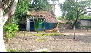 Screenshot 2025 09 12 09 49 30 601 Com.google.android.apps .photos 300x174