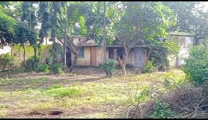 Screenshot 2025 09 12 09 49 48 060 Com.google.android.apps .photos 300x173