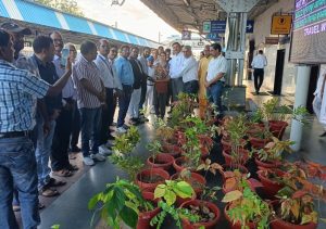 Screenshot 2025 09 30 11 24 04 779 Com.whatsapp 300x211