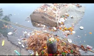 Screenshot 2025 11 06 11 55 43 126 Com.google.android.apps .photos 300x181