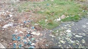 screenshot 2026 04 14 09 37 15 859 com.google.android.apps.photos