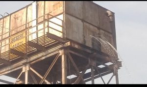 screenshot 2026 04 23 17 35 32 726 com.google.android.apps.photos