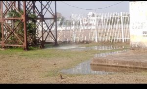 screenshot 2026 04 23 17 36 45 546 com.google.android.apps.photos